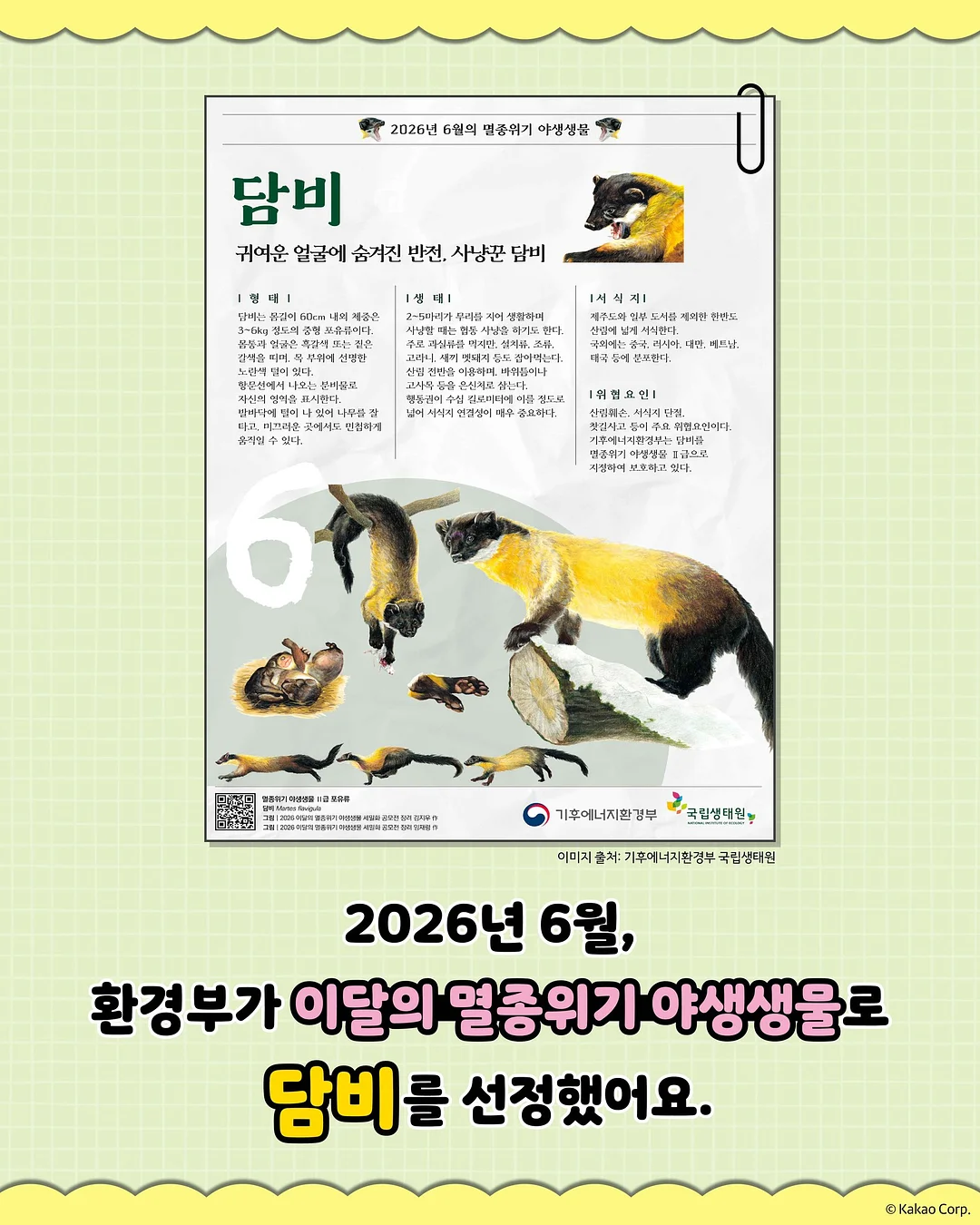 피크닉 텐트 2