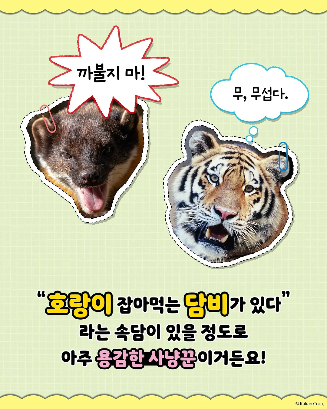 피크닉 텐트 4