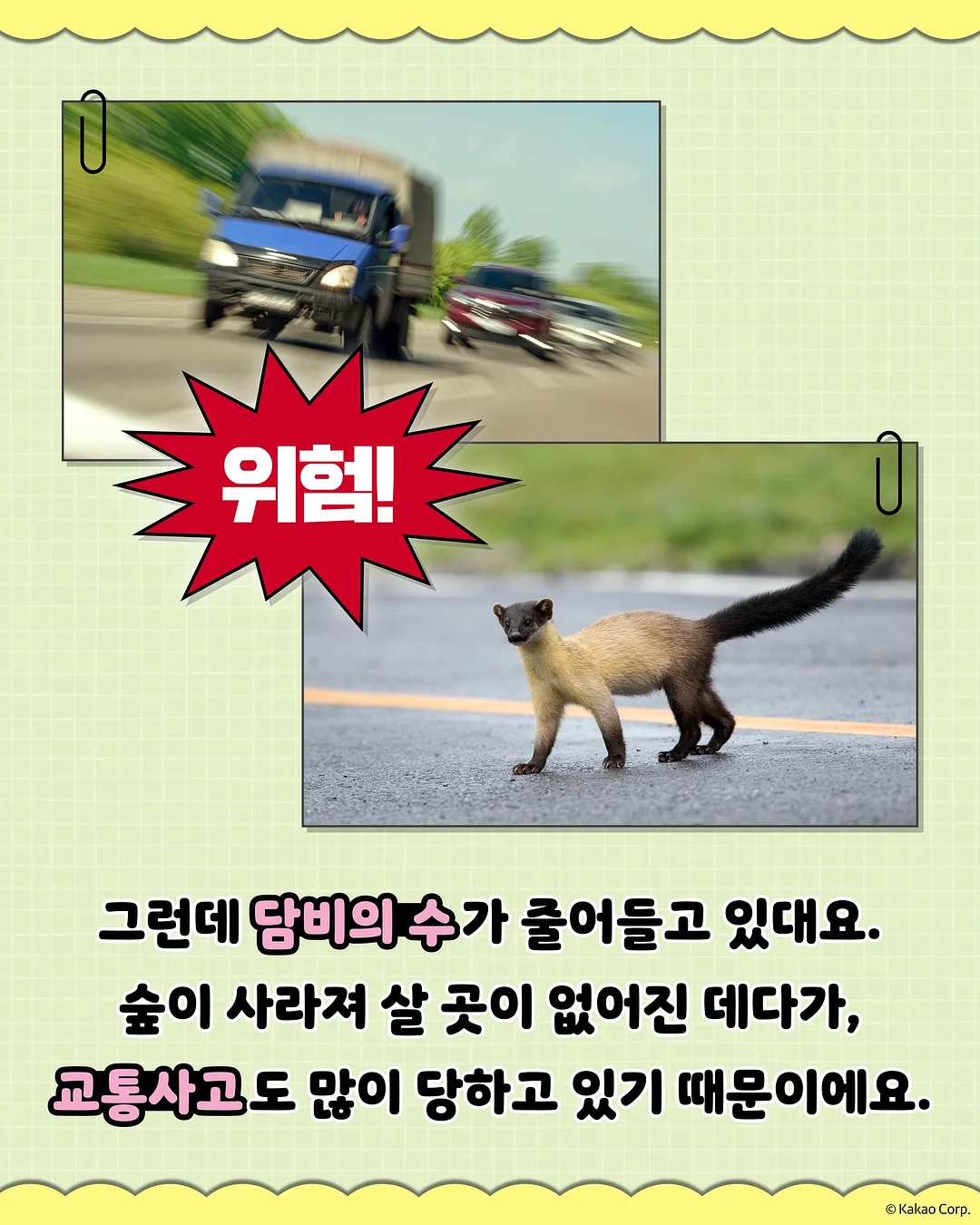피크닉 텐트 6