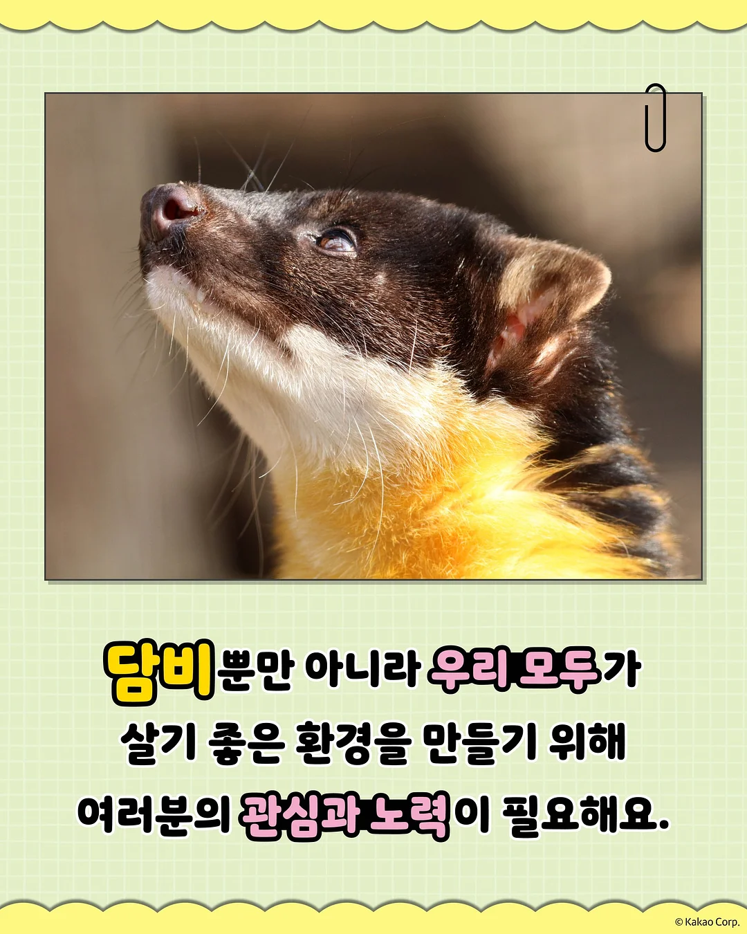피크닉 텐트 7
