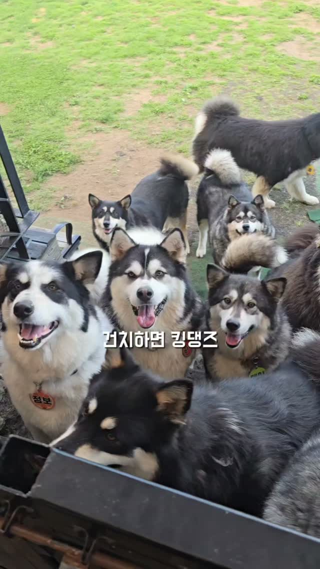 테무 쇼핑 아이템