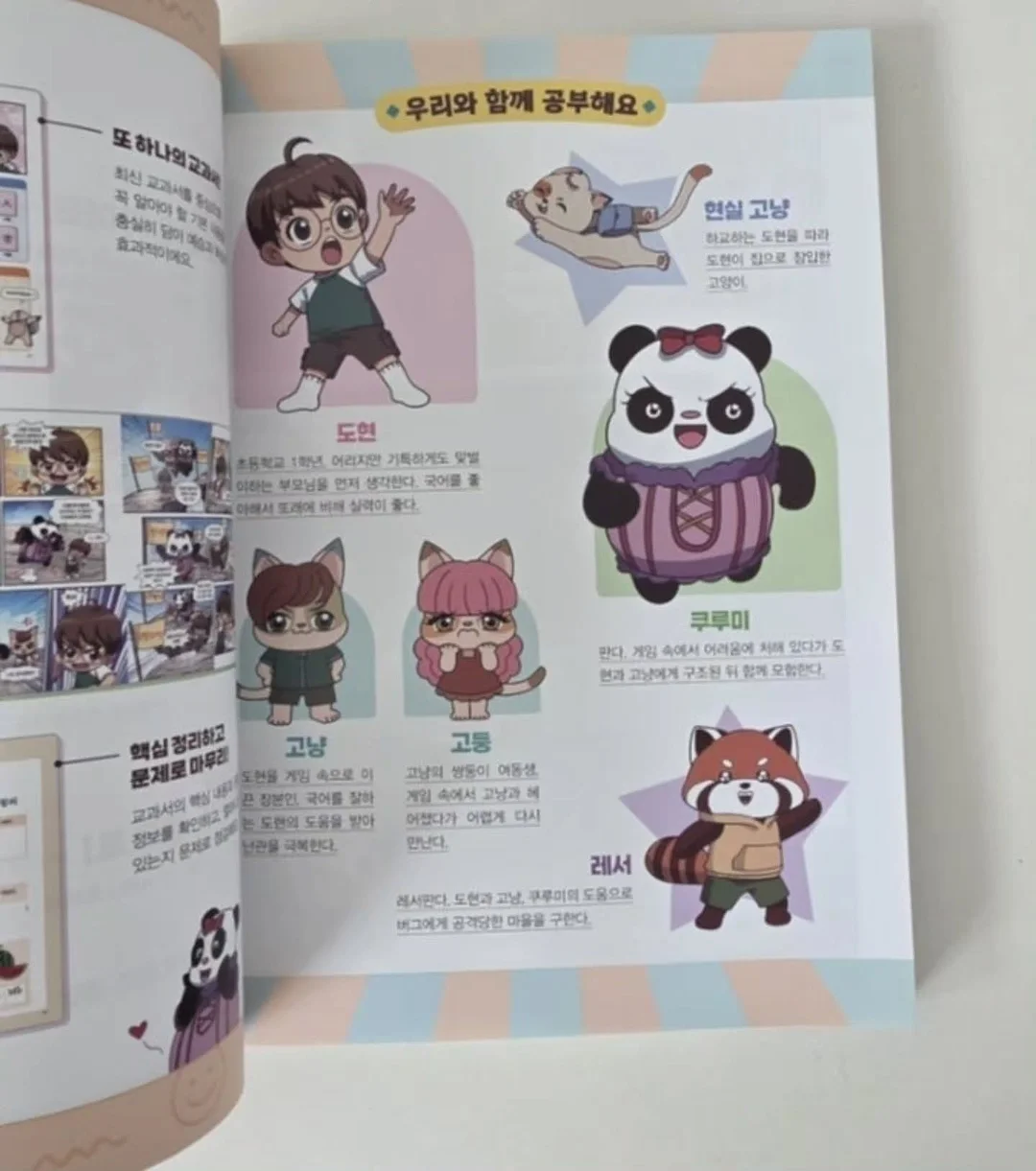 염증 관리 3