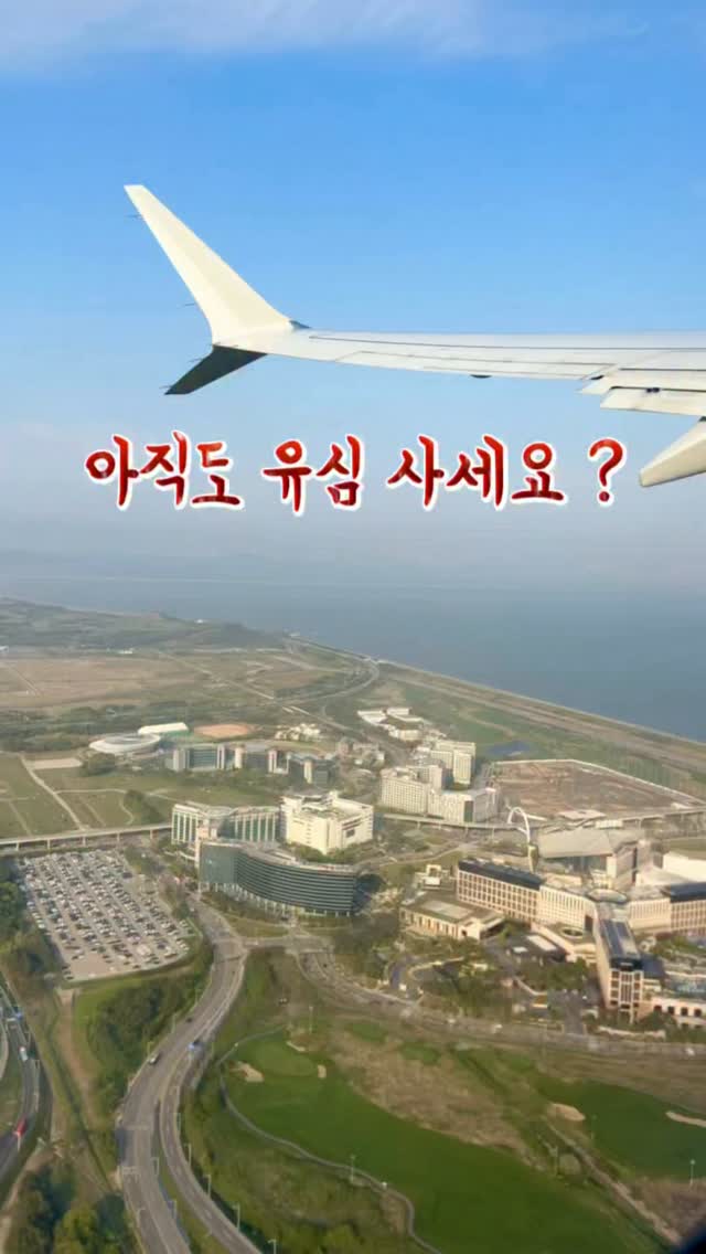 동결건조 과일칩