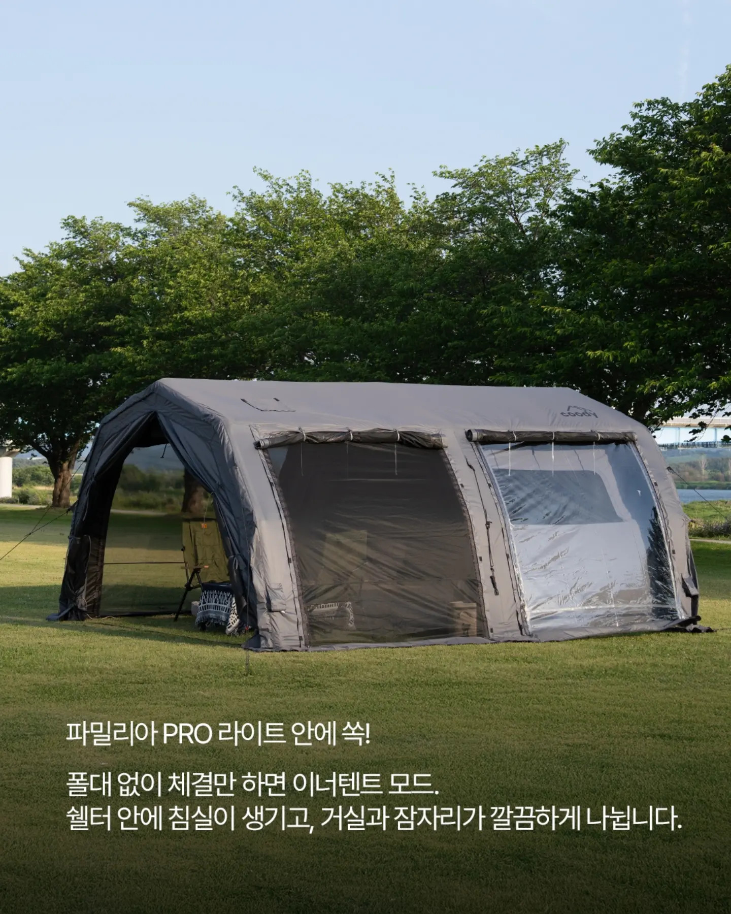 블루벨 당근케이크 3