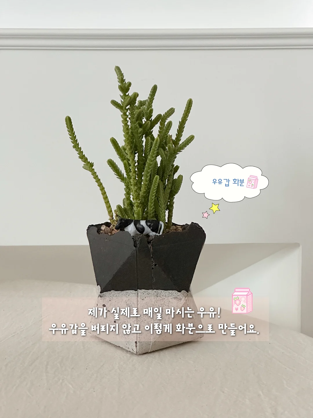 팸퍼스 터치오브 네이처 썸머팬티 2