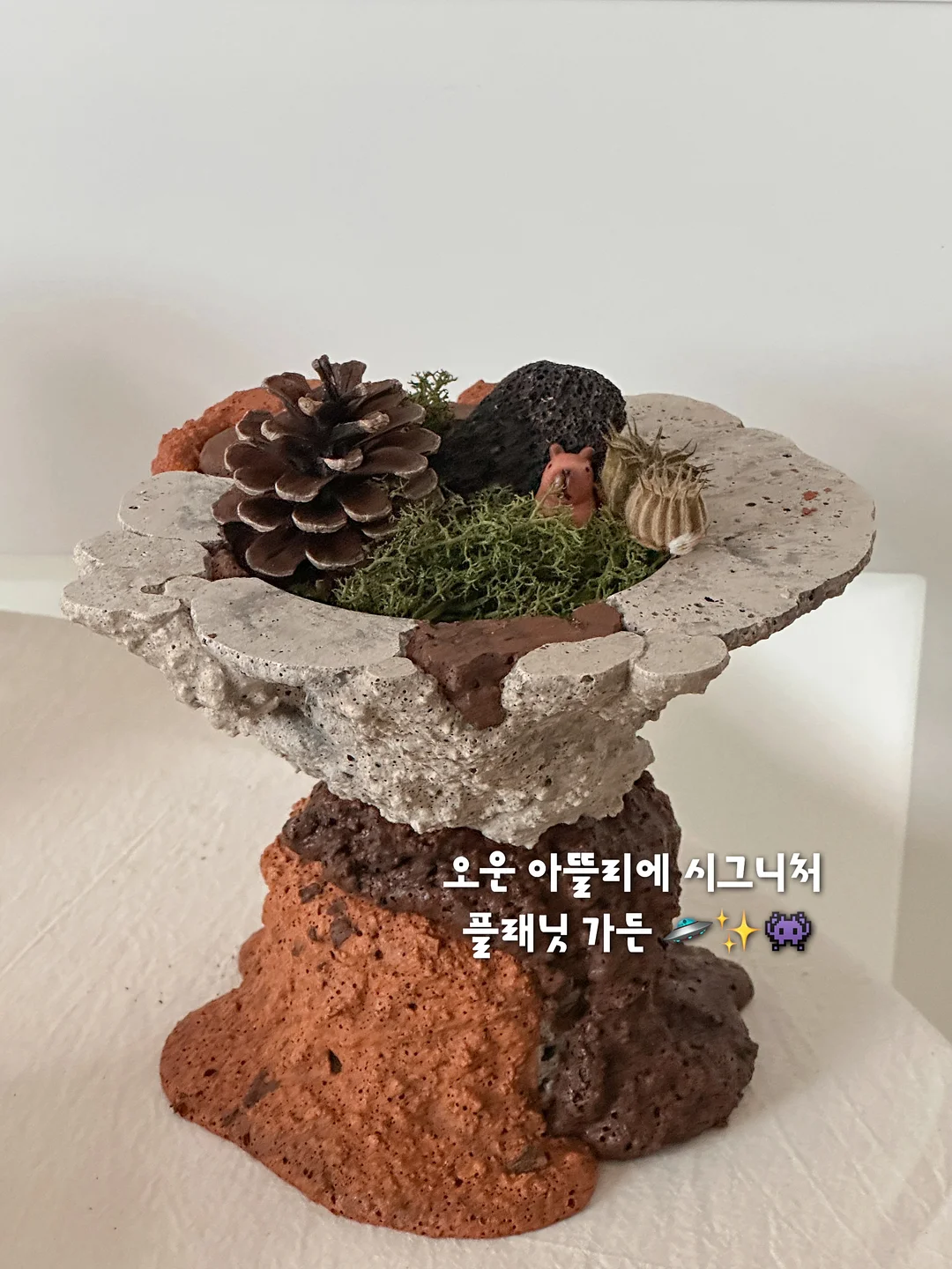 팸퍼스 터치오브 네이처 썸머팬티 5