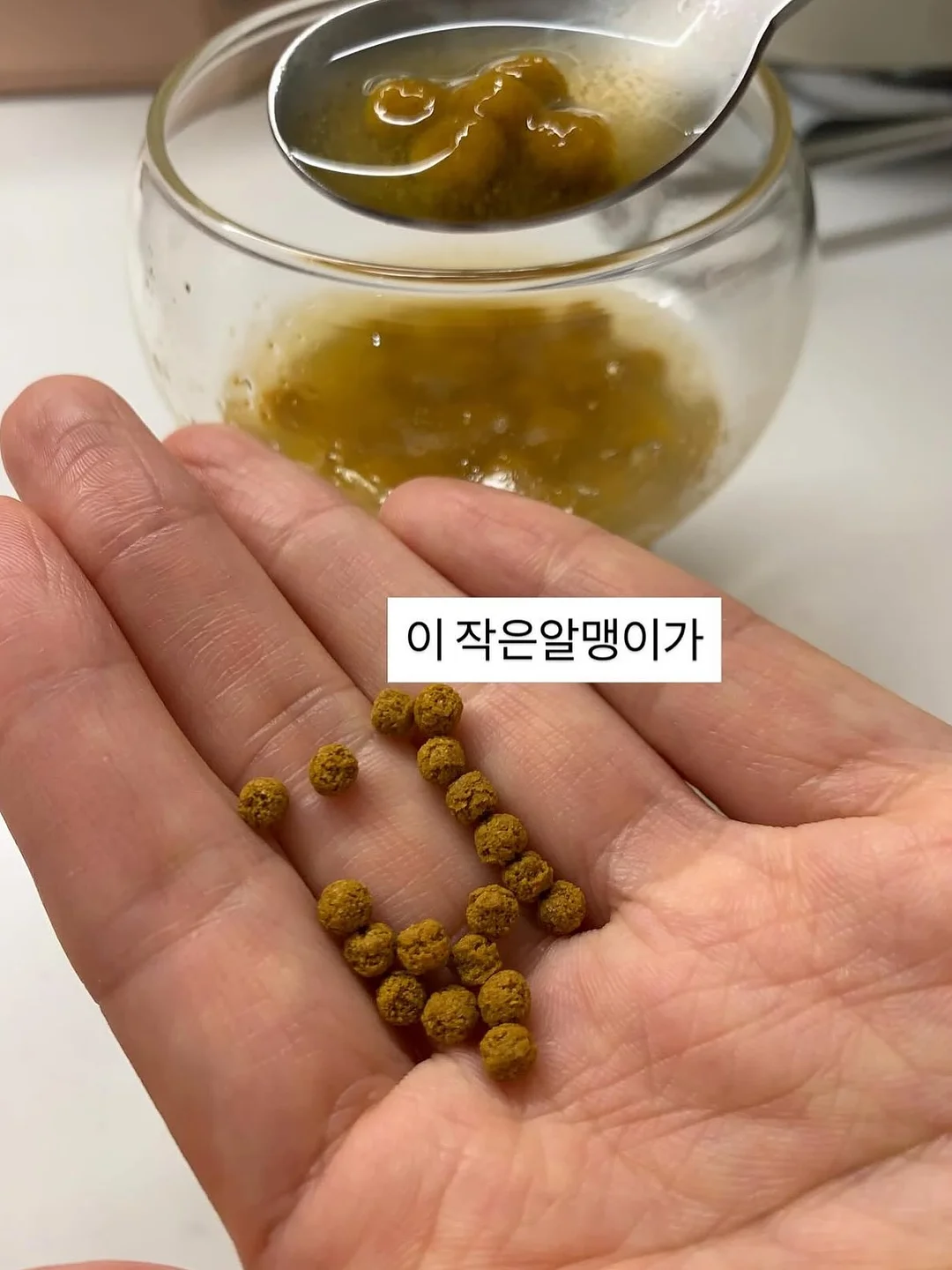 초등 자녀교육 방향 영상 9