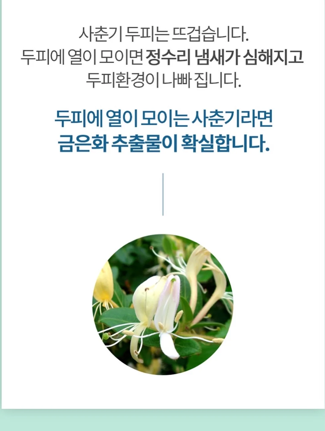 런던 스냅 감성 프롬프트 14