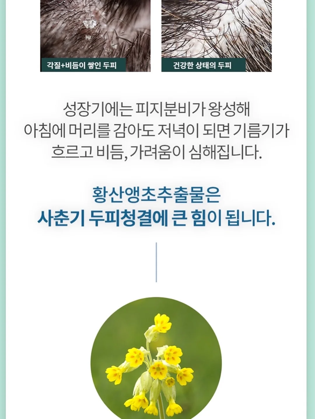 런던 스냅 감성 프롬프트 15
