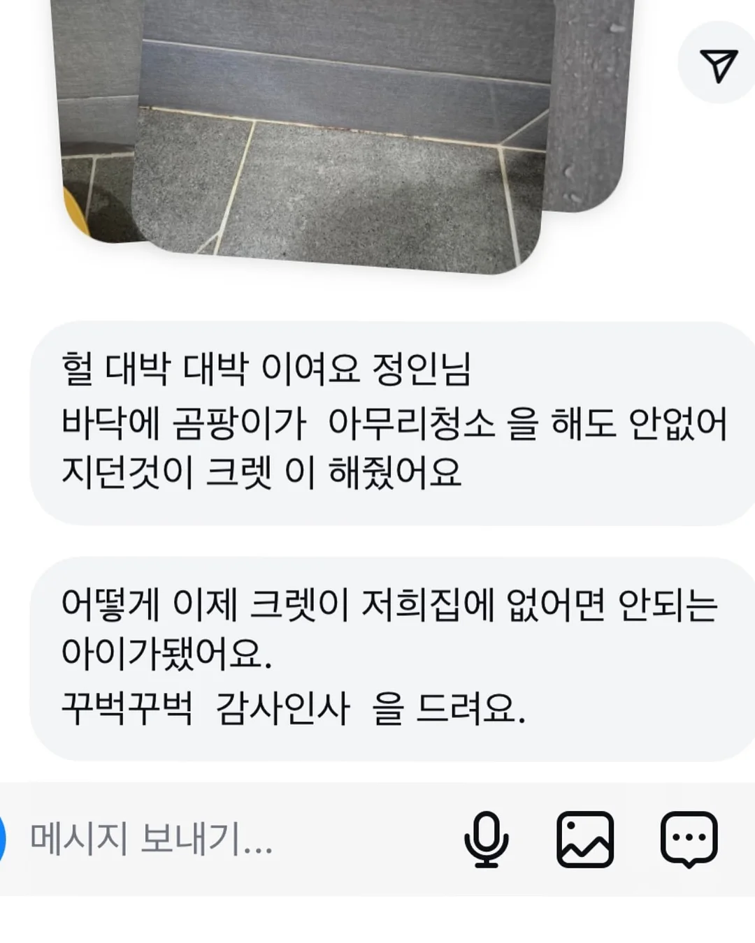 미니카 10