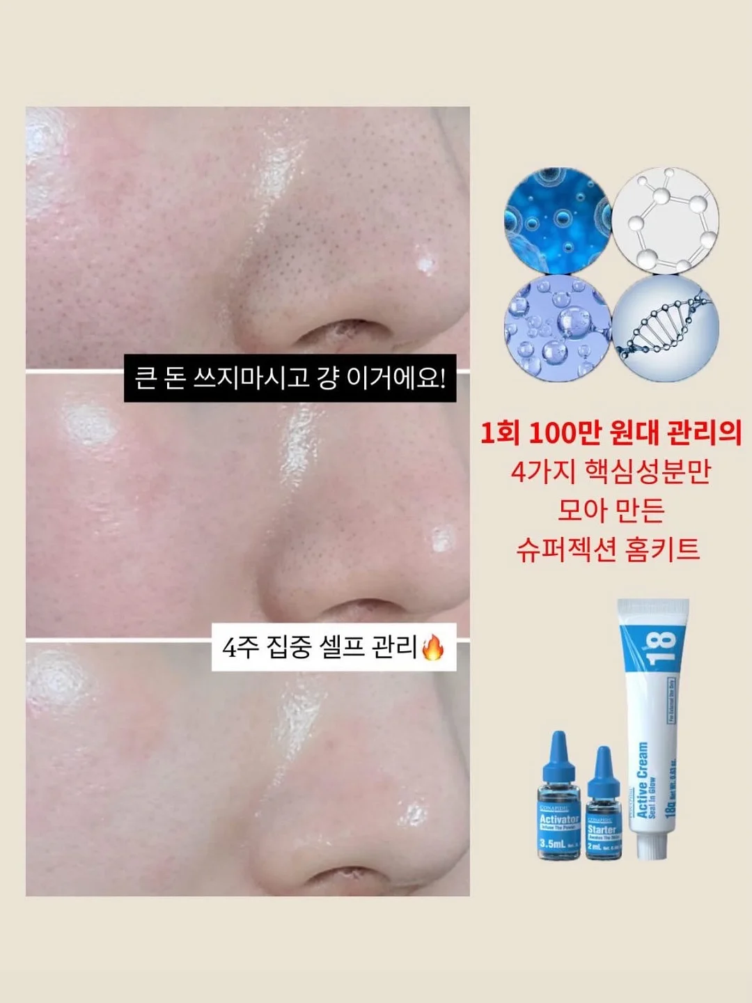 다인의 정원 티웨어 1