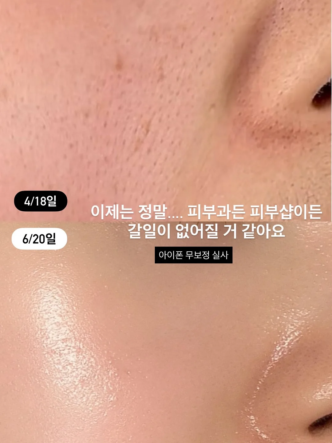 다인의 정원 티웨어 5