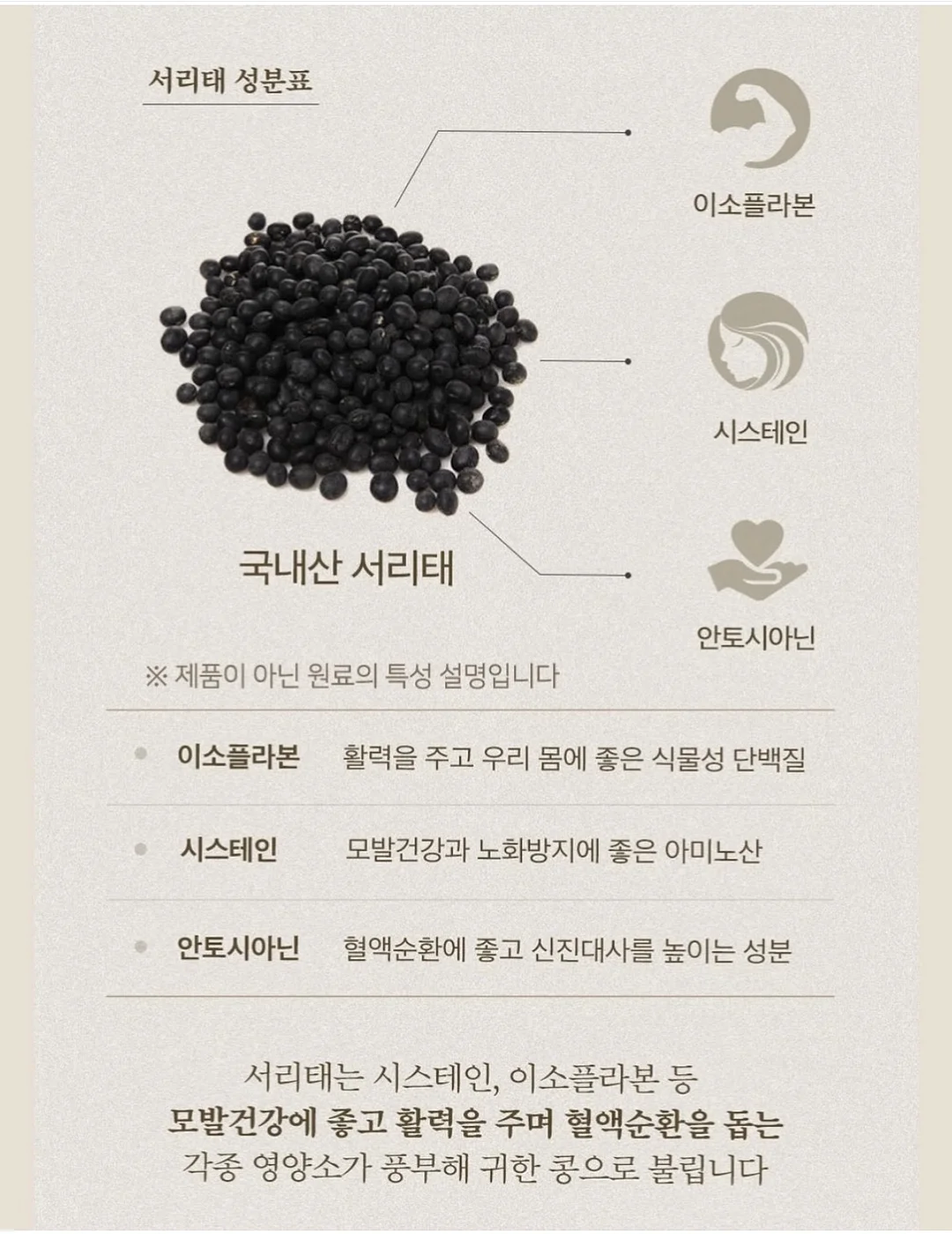 할미플리츠 11