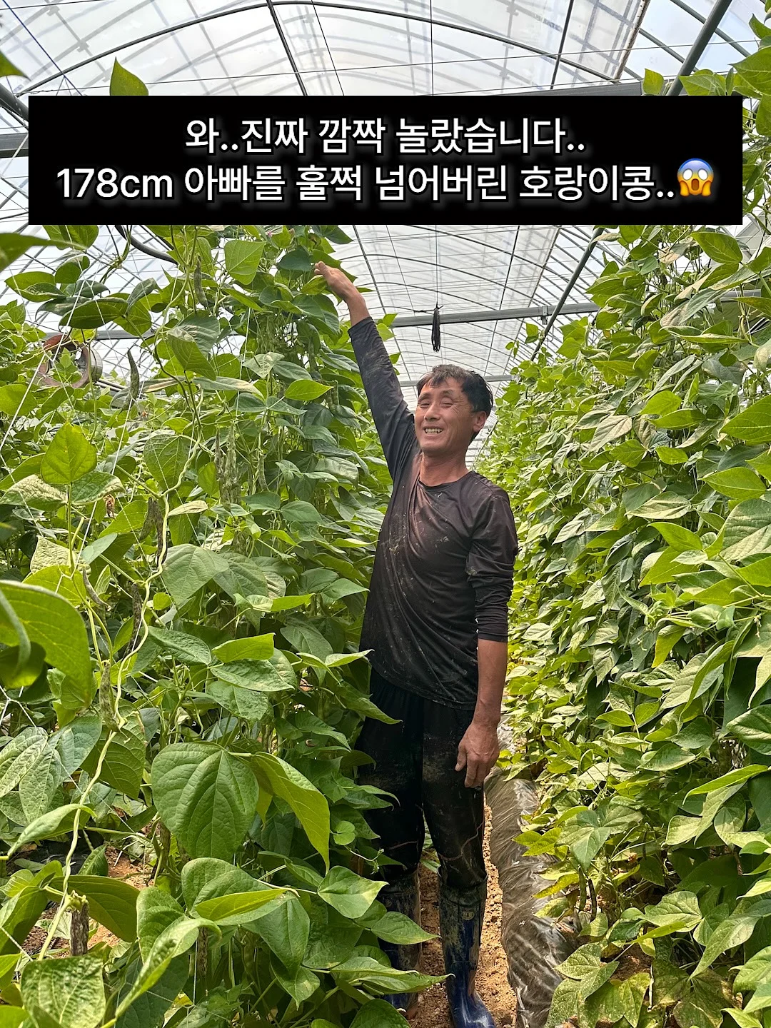 에스닉 라피아백 1