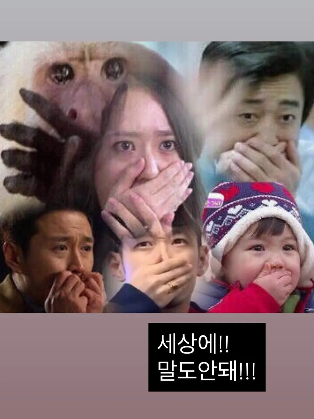 손가락 양치 패드 8