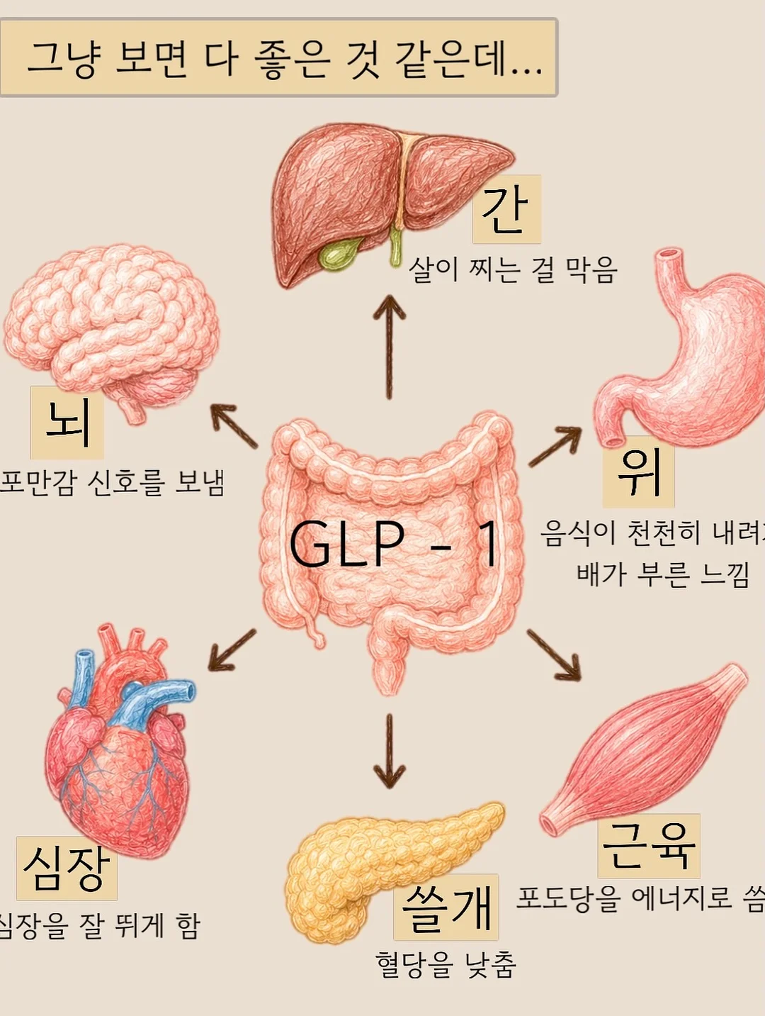 가디건 3종 세트 2