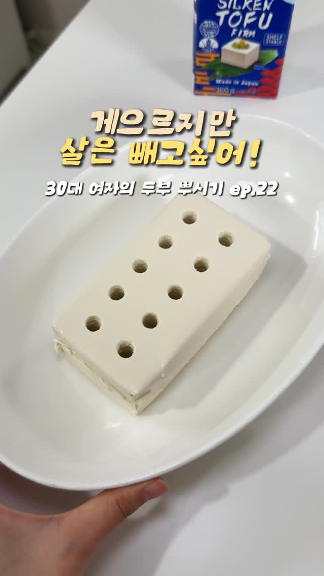 코끼리를 목욕시키는 여자