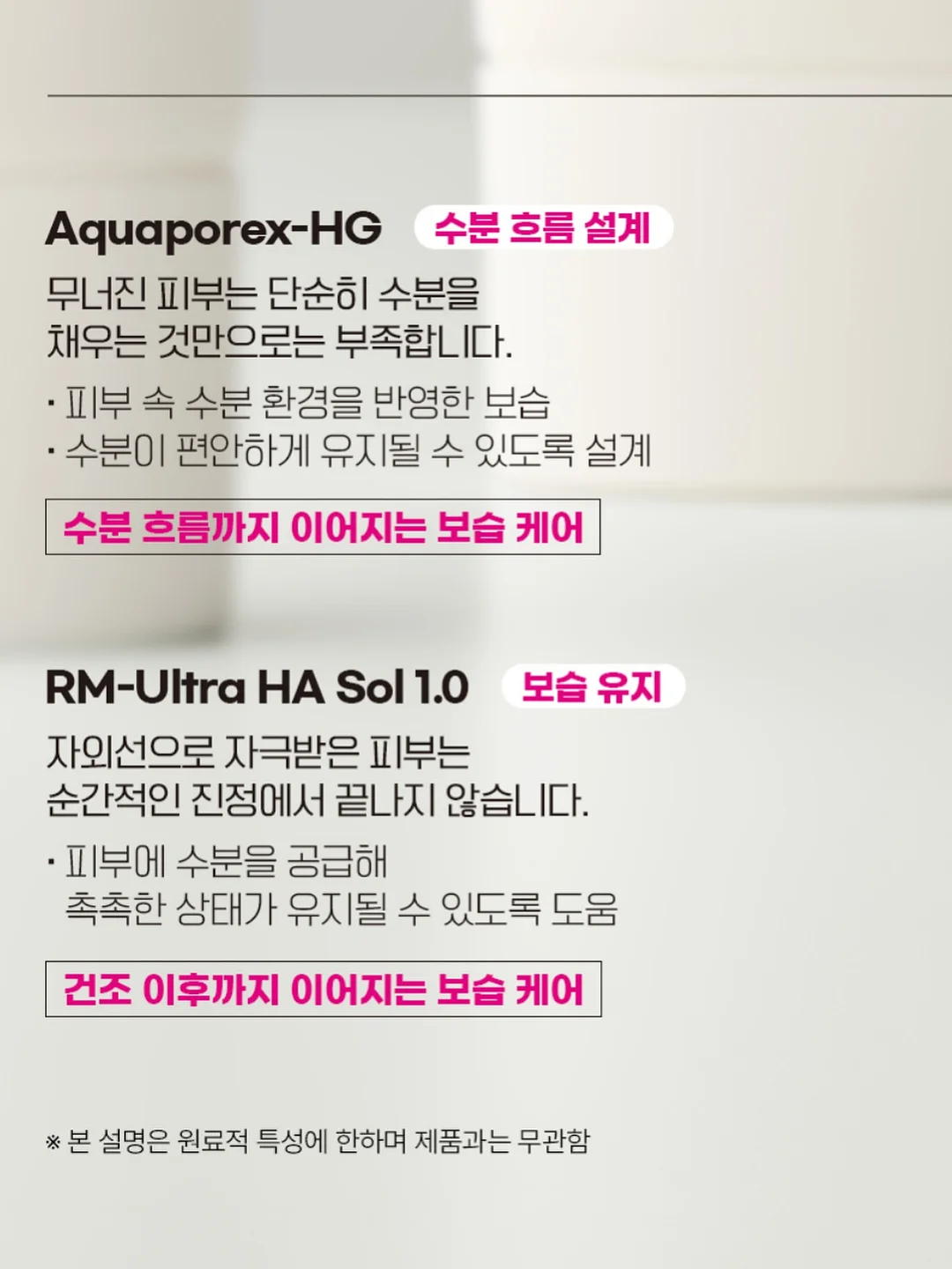 피크닉 라인 11