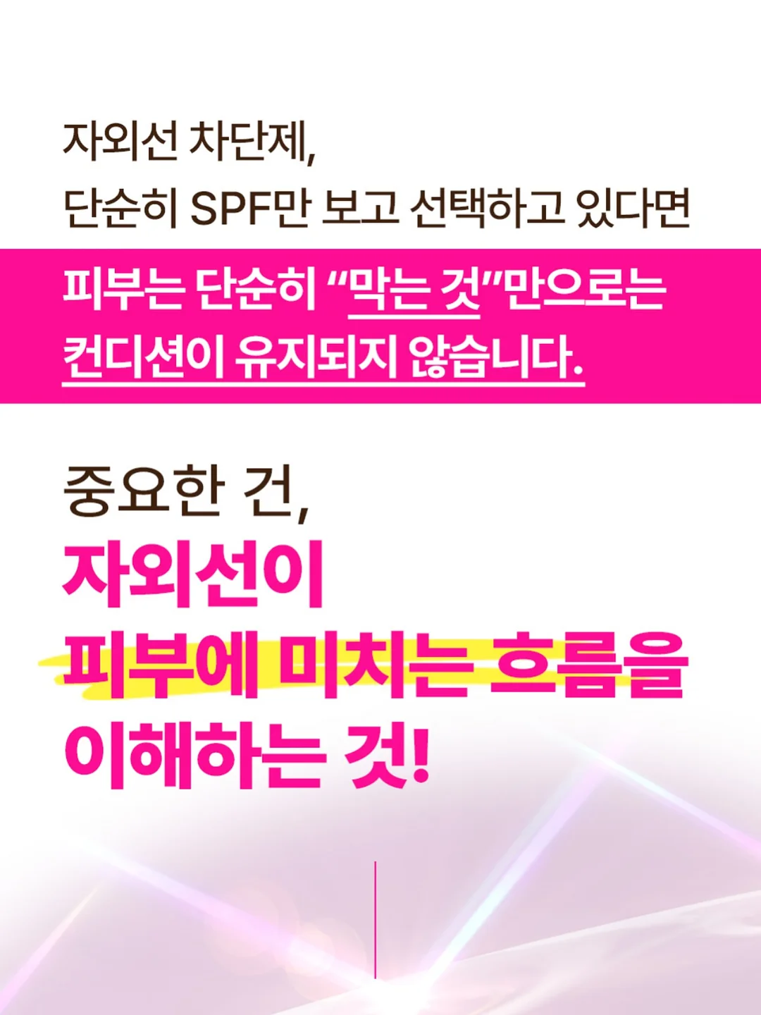 피크닉 라인 2