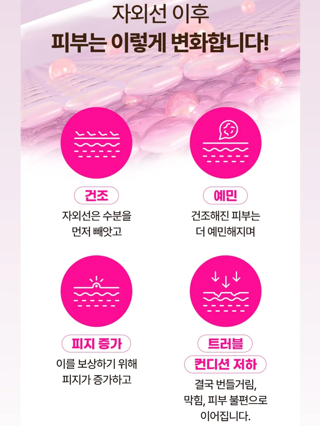 피크닉 라인 3