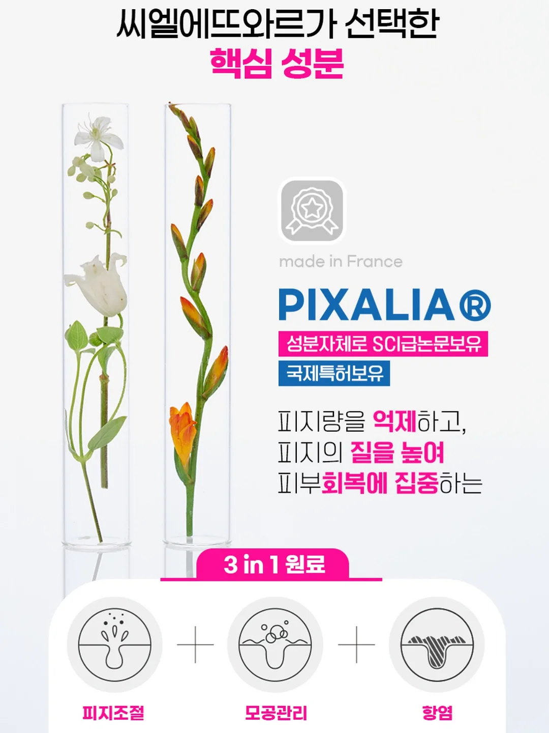 피크닉 라인 7
