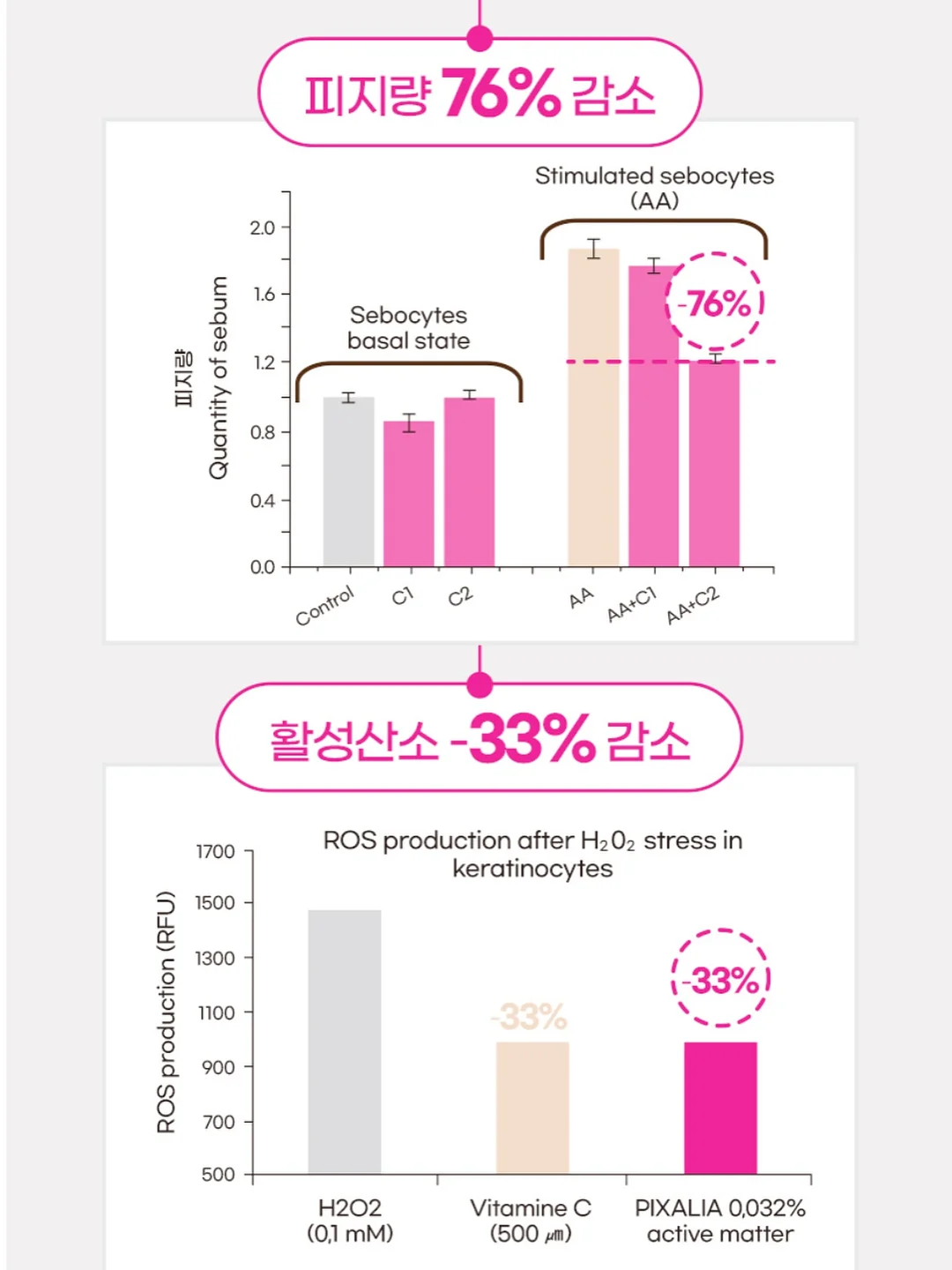 피크닉 라인 8