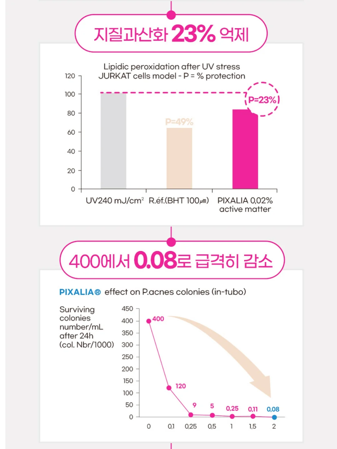 피크닉 라인 9
