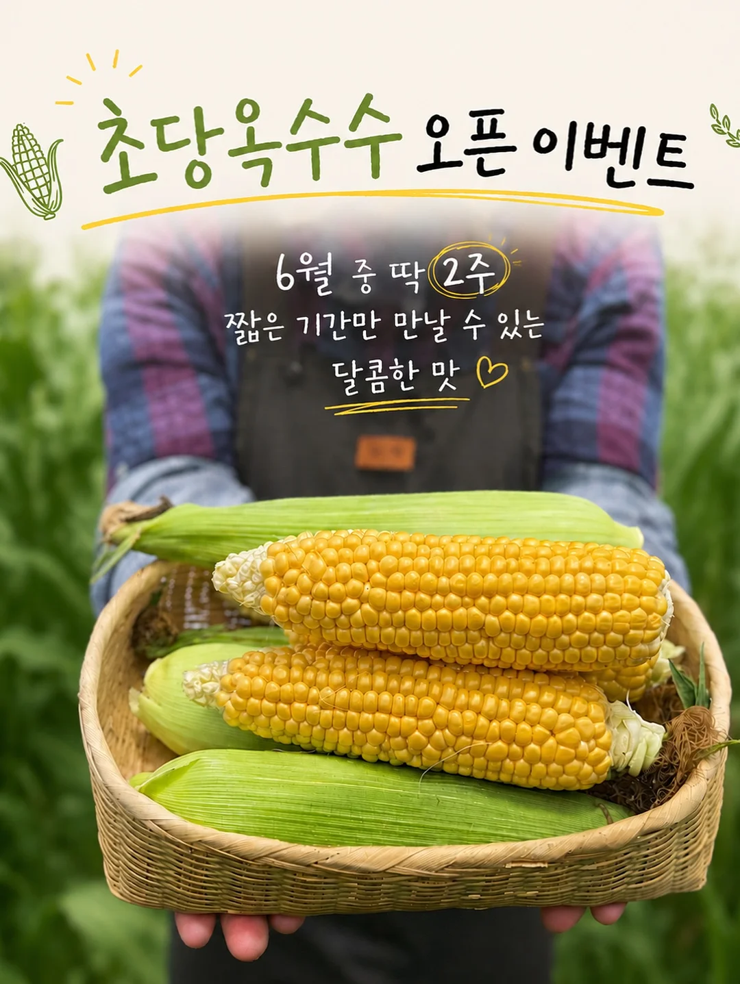 한림알로에 알로에 사포나리아 비누 300g 2