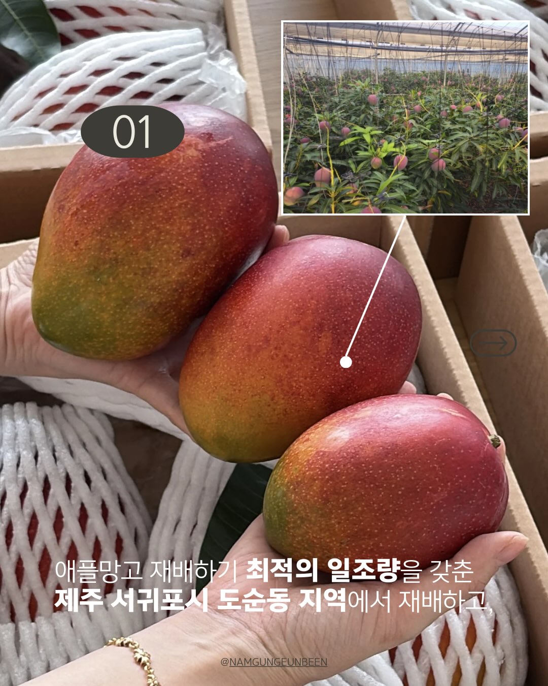 라꽁비에뜨 버터 가염& 무염 2