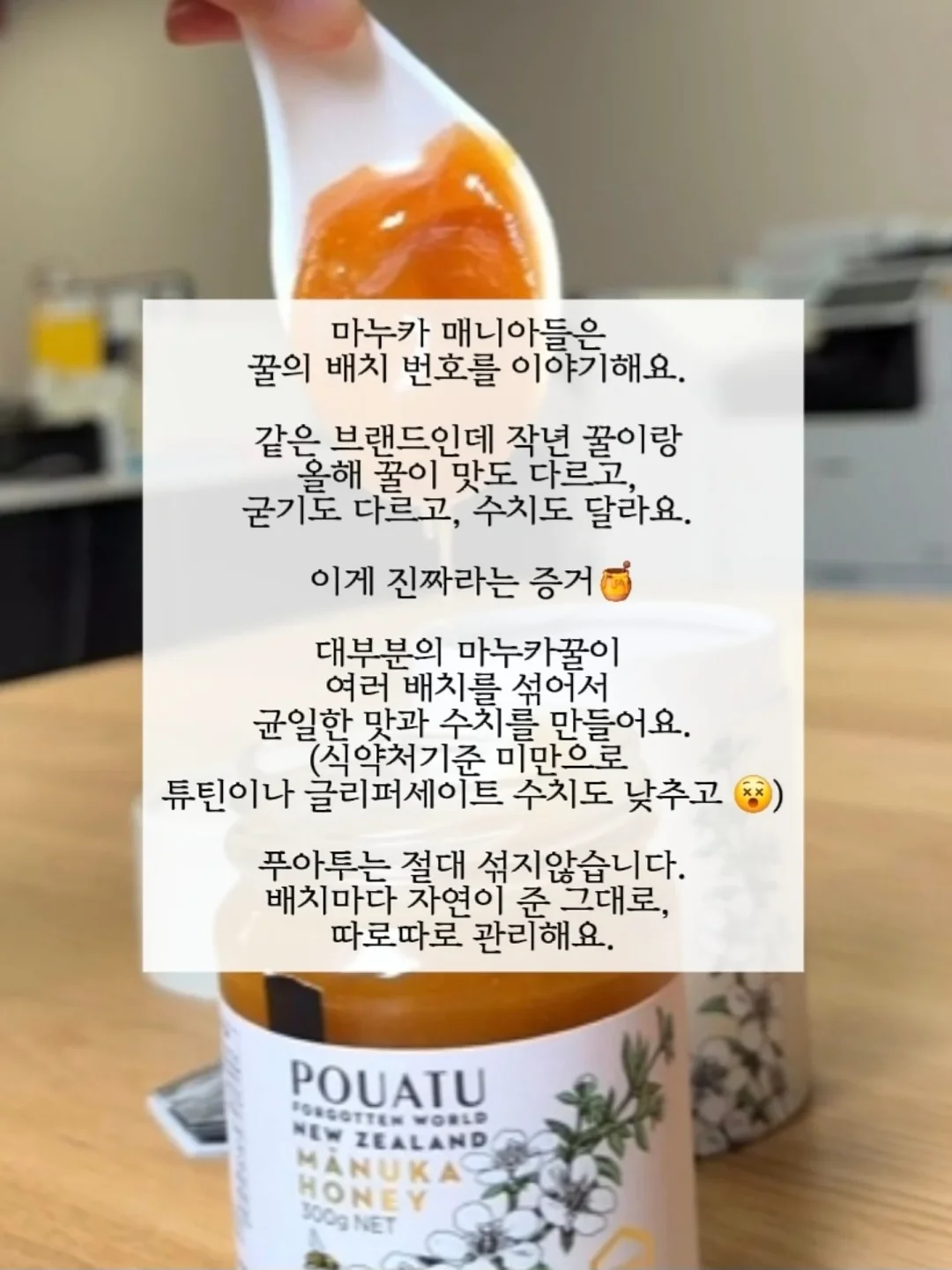 곰들렌클래스 뉴찰꿀빵 2