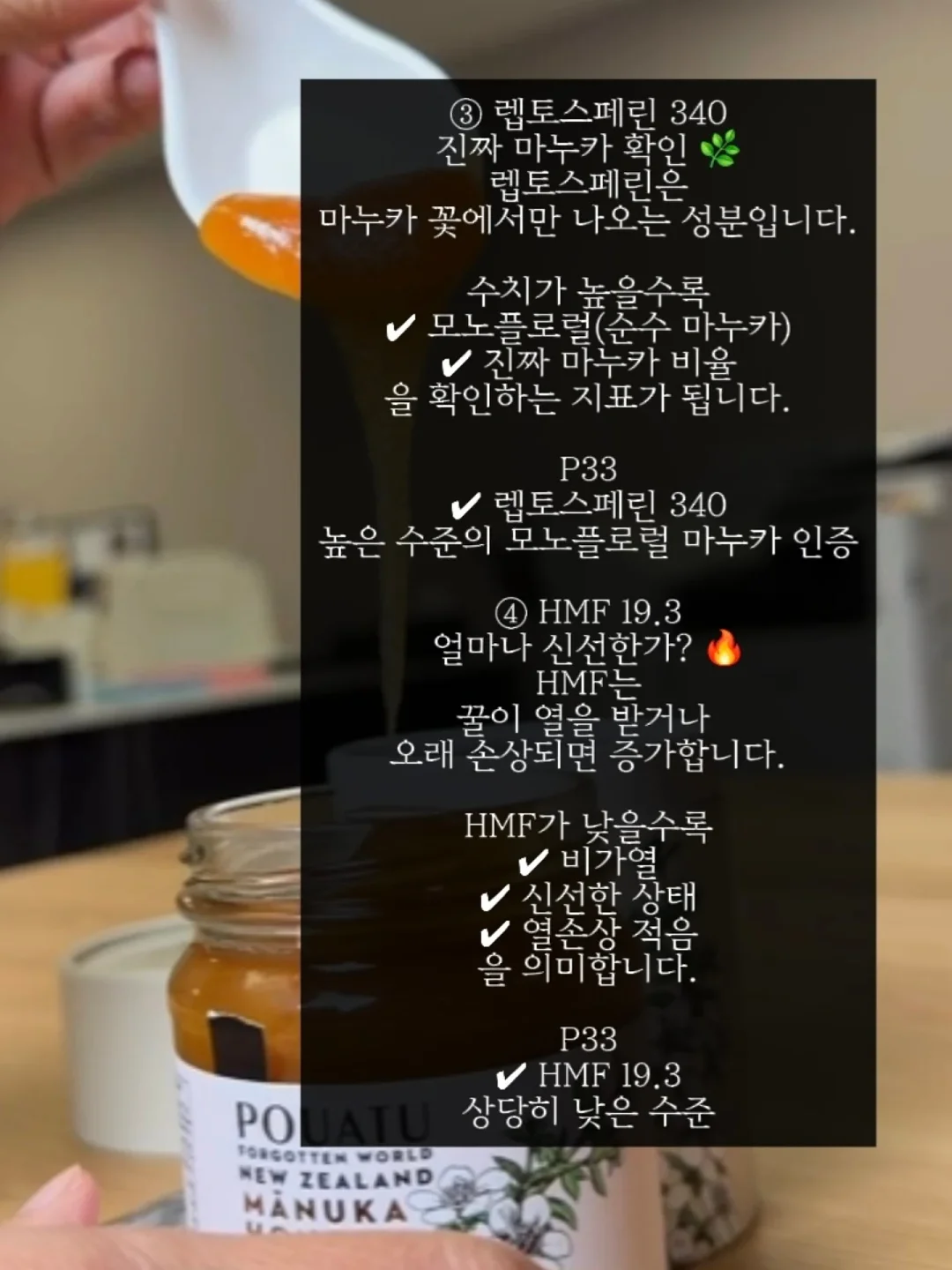 곰들렌클래스 뉴찰꿀빵 5