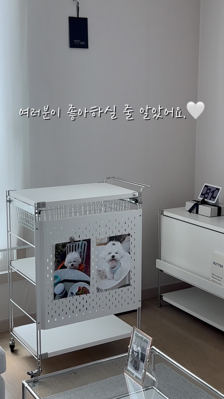 셀린느 틴 룰루 백