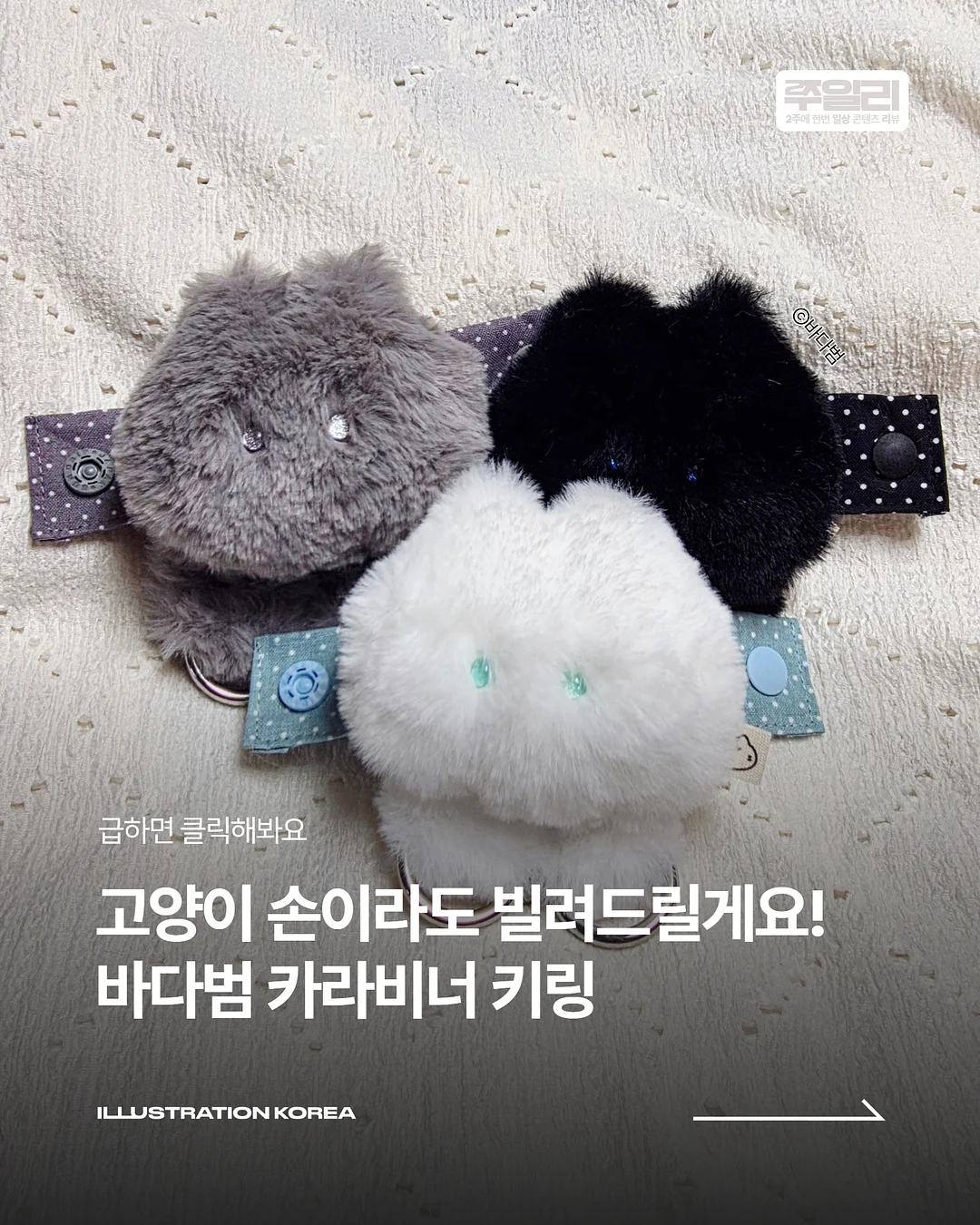 리본 1