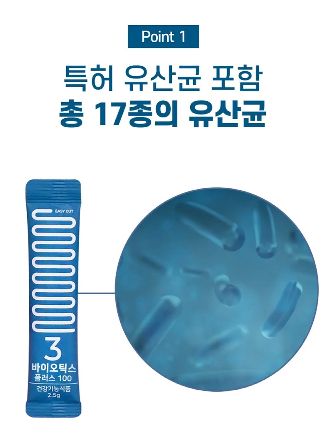 벽지 11