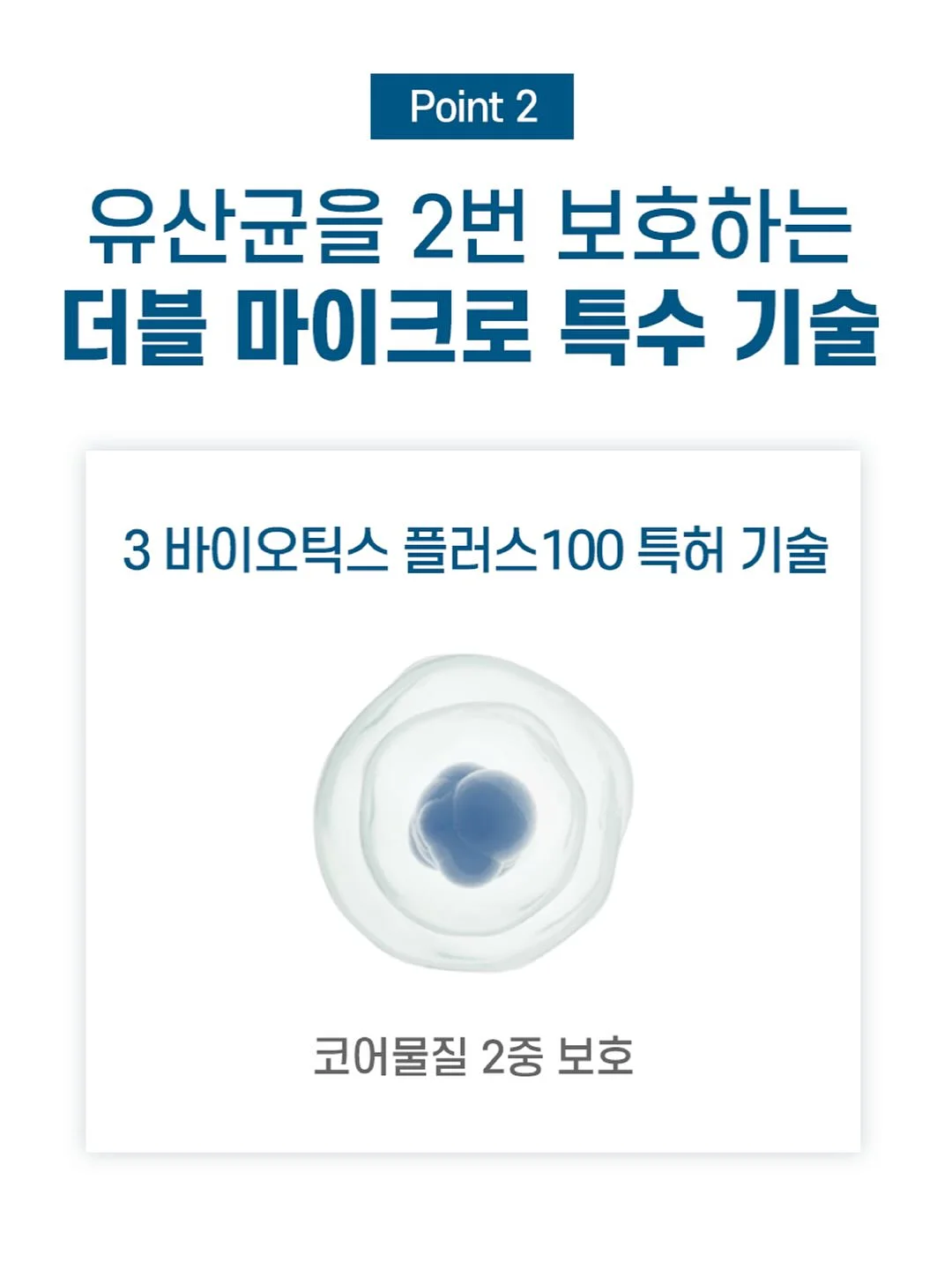 벽지 10