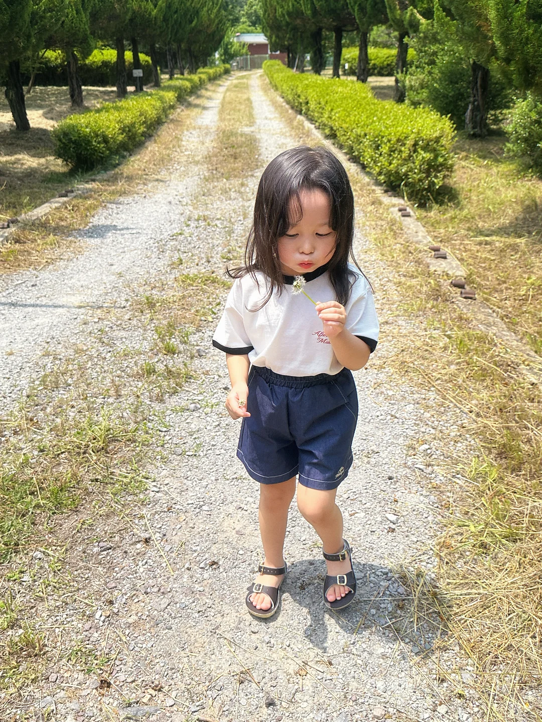 스틱 치즈케이크 3