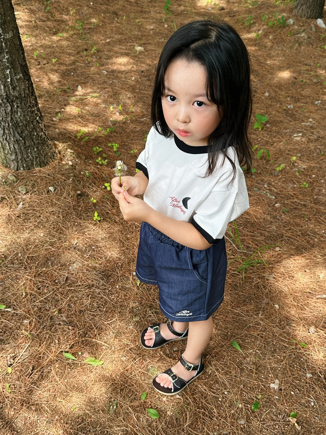 스틱 치즈케이크 5