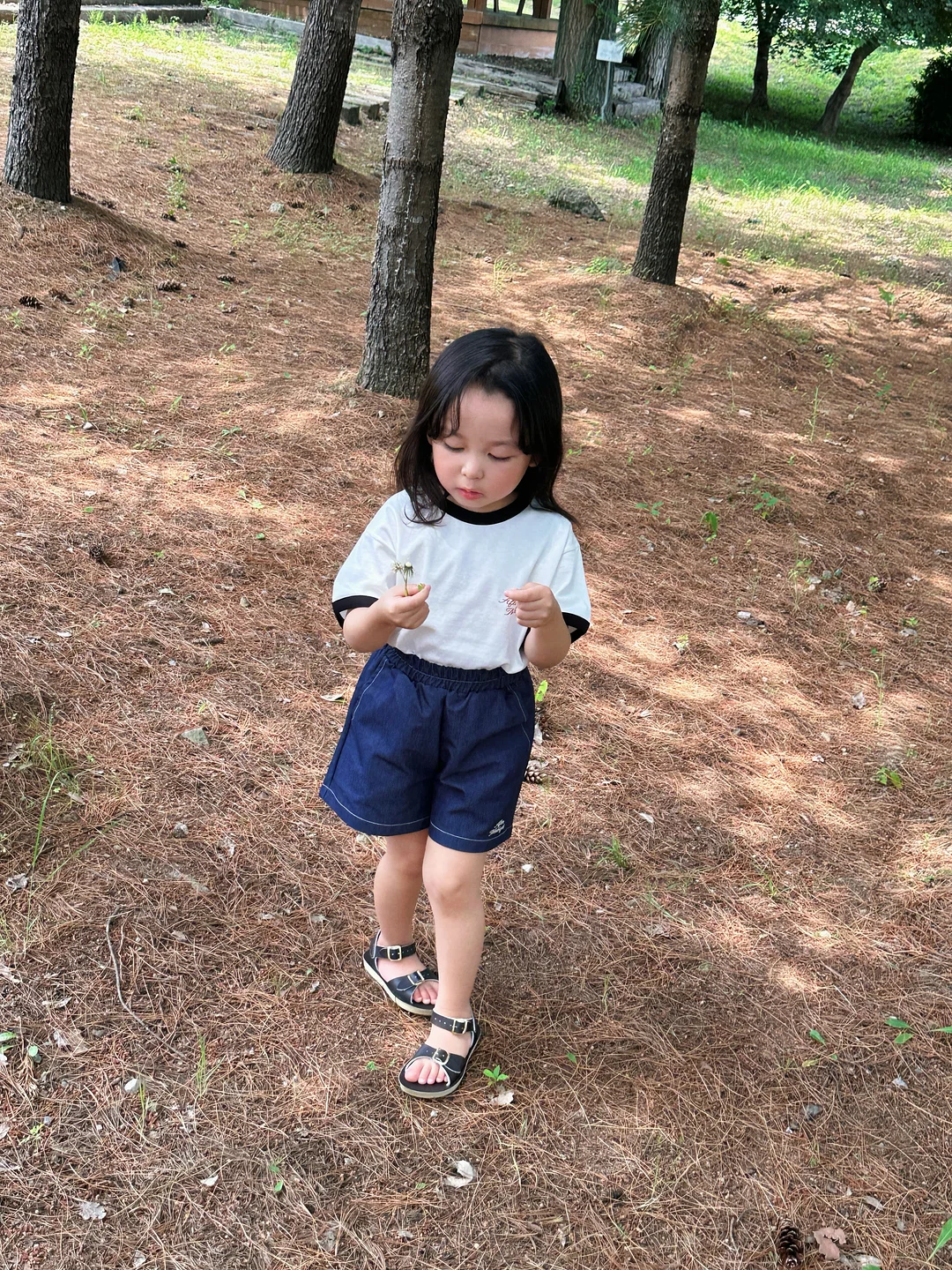 스틱 치즈케이크 6