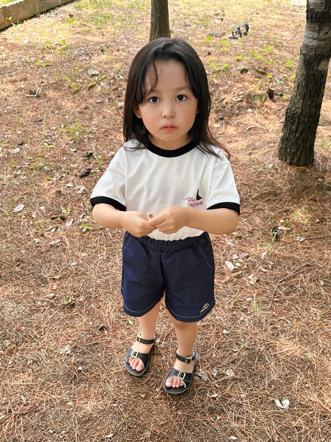스틱 치즈케이크 8