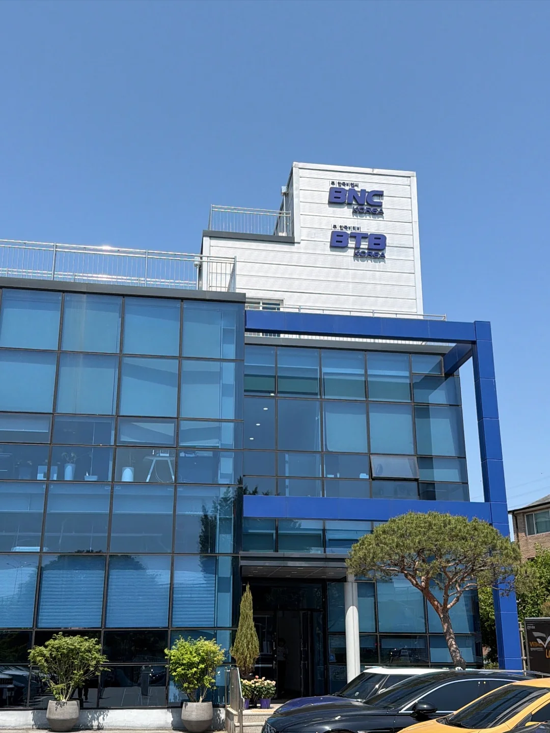 립타투 2