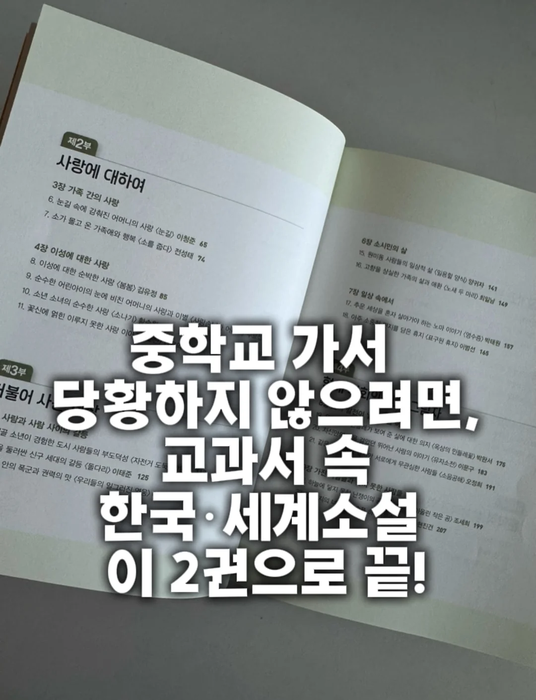 나는 절대 갑옷을 벗지 않아 1