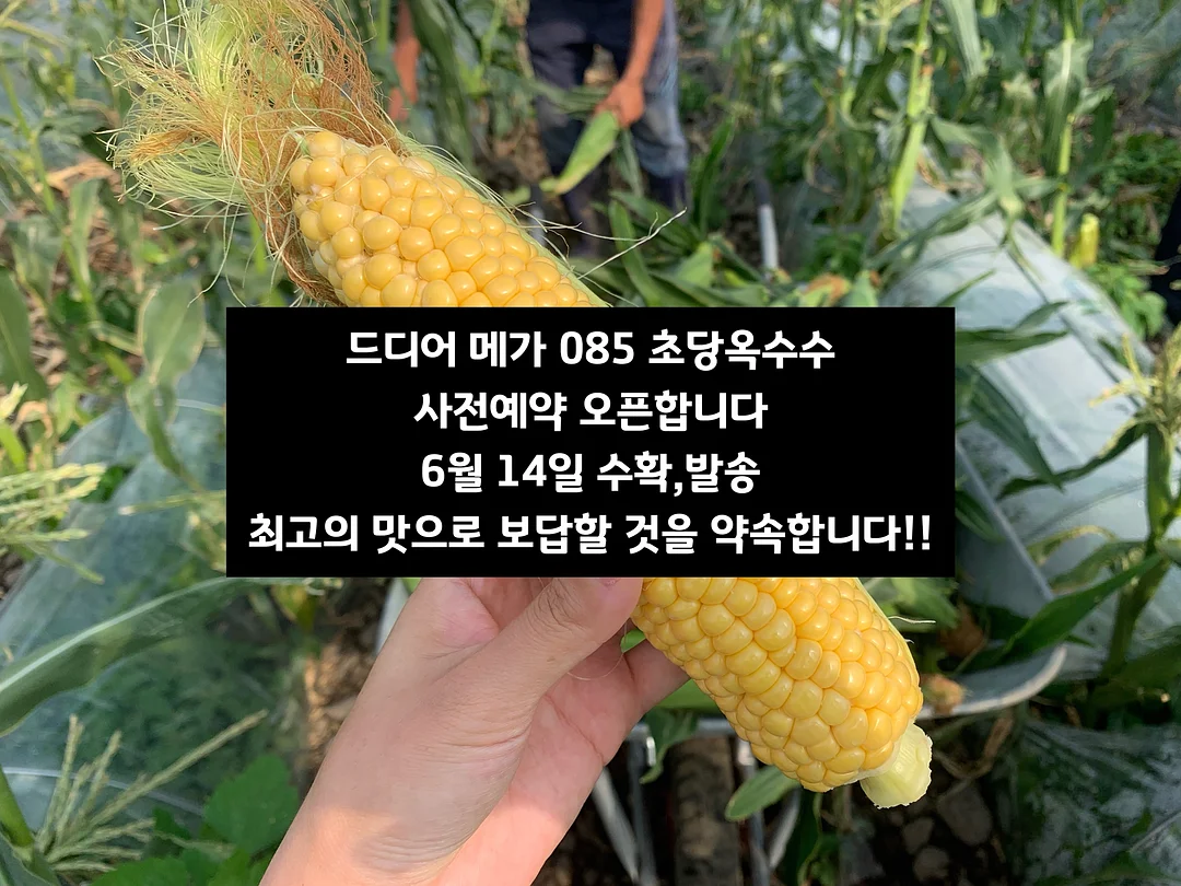 청순 도발 장비