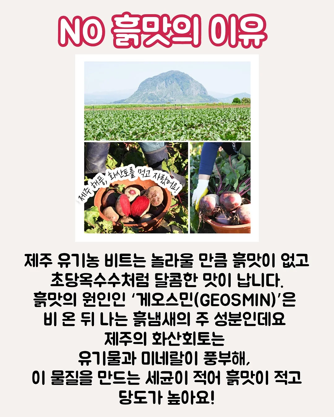 디오션리조트 오션뷰 객실 1박 + 워터파크 이용권 2~4매 + 썬베드 1개 패키지 4