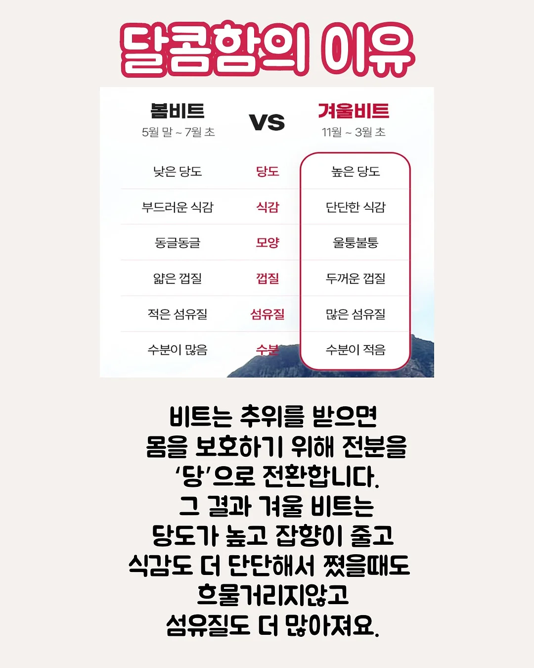 디오션리조트 오션뷰 객실 1박 + 워터파크 이용권 2~4매 + 썬베드 1개 패키지 5