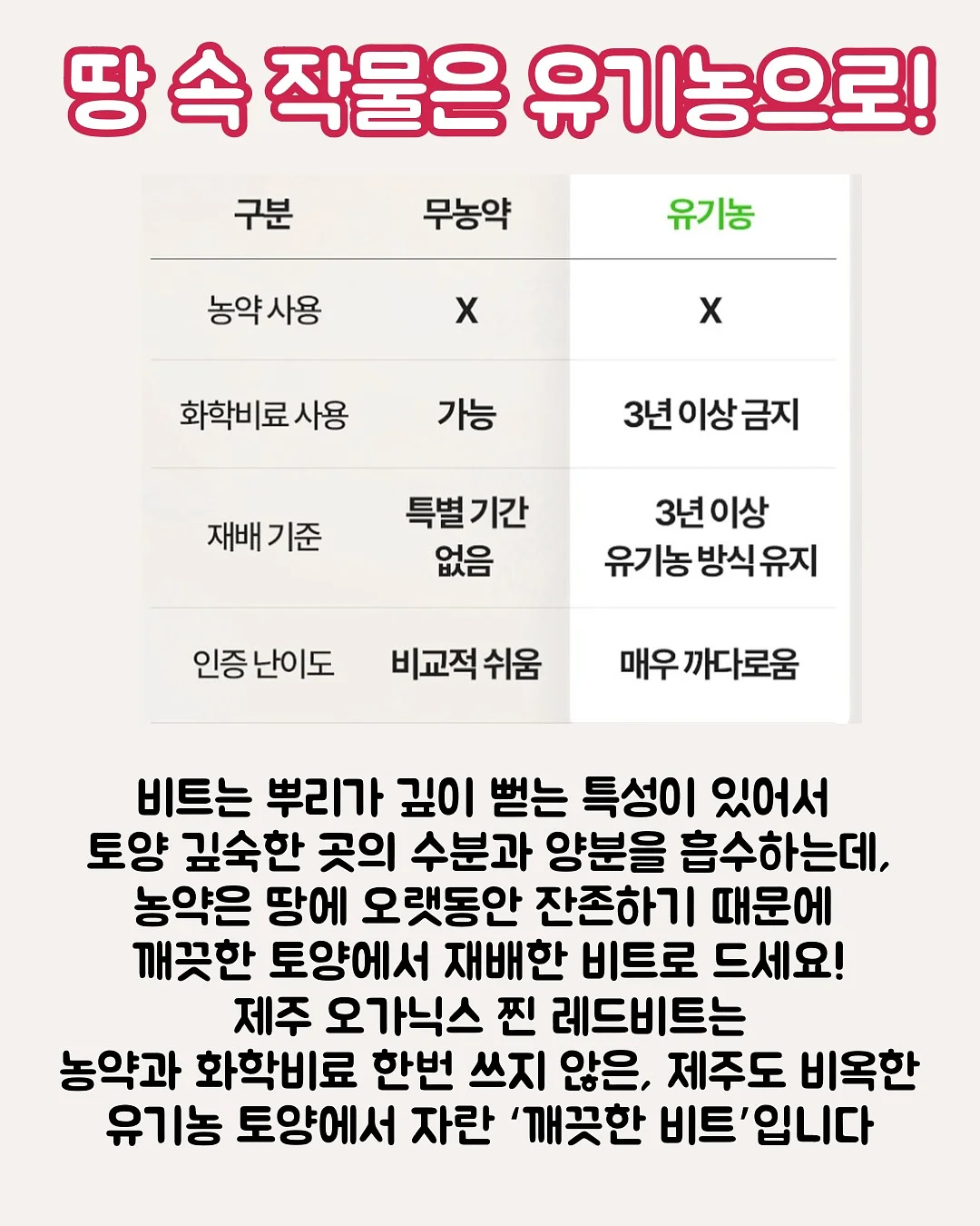 디오션리조트 오션뷰 객실 1박 + 워터파크 이용권 2~4매 + 썬베드 1개 패키지 6