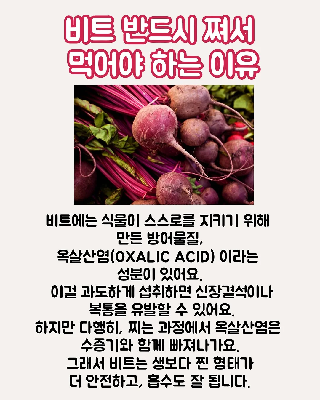 디오션리조트 오션뷰 객실 1박 + 워터파크 이용권 2~4매 + 썬베드 1개 패키지 7