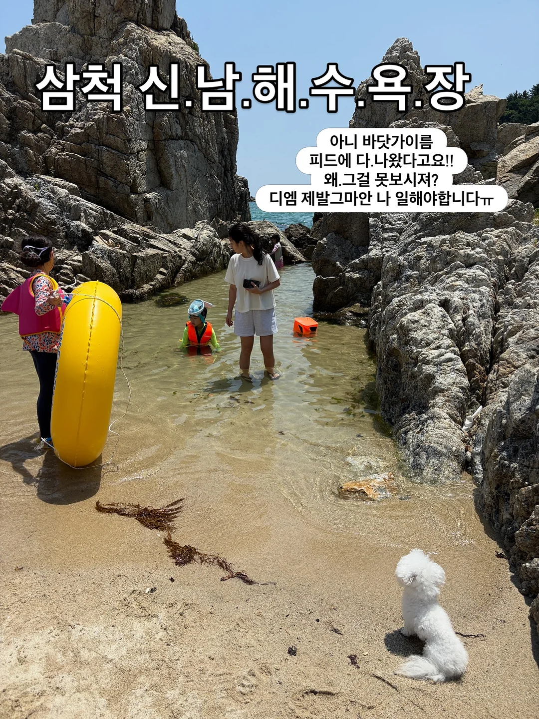 핸드폰 클립 스트랩 5개 세트 1