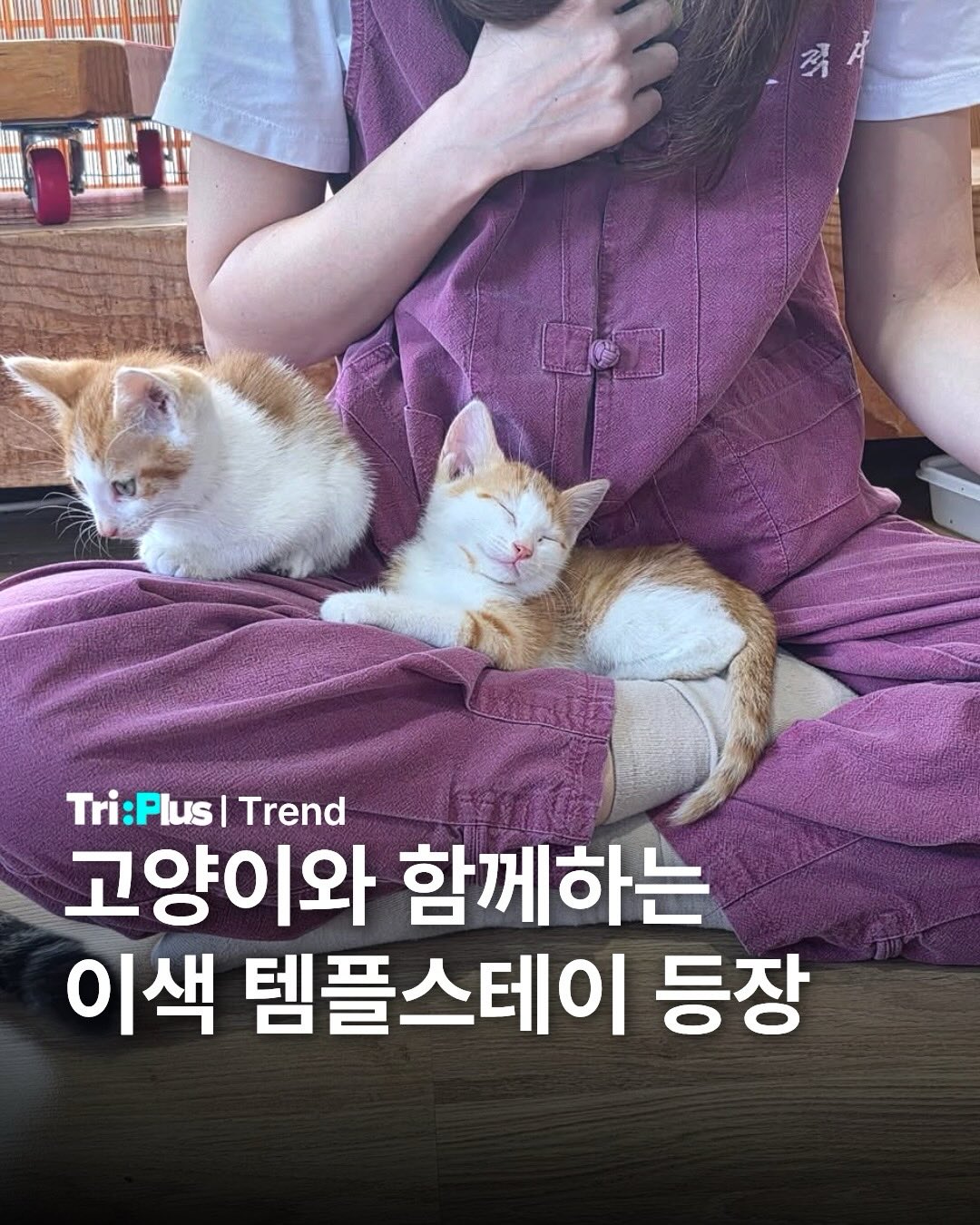 이동형 확장선반 트롤리 1
