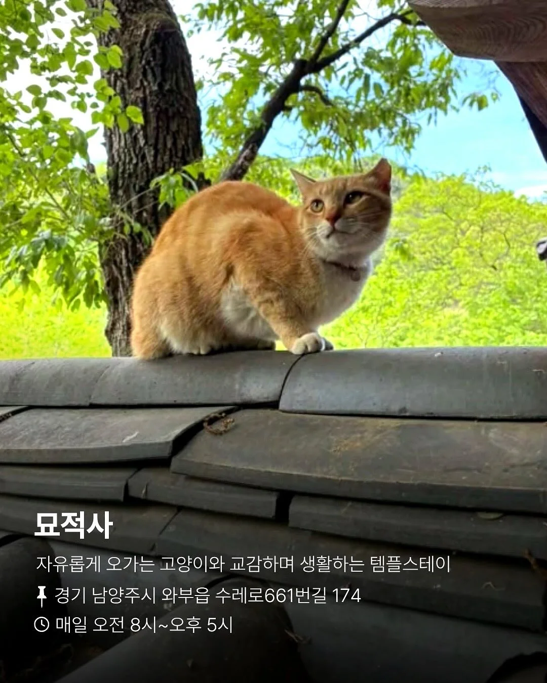 이동형 확장선반 트롤리 2