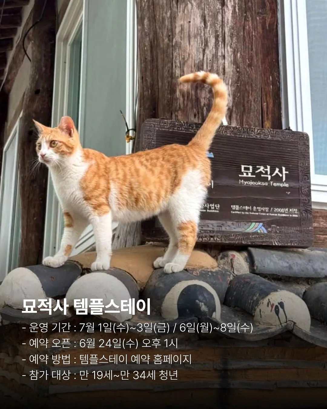 이동형 확장선반 트롤리 3